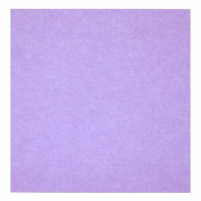 Moderne Design-Felt-Schalldichte-Polyesterfaser-Akustikplatte für die Schalldämmung von Büros